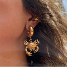 Load image into Gallery viewer, These stunning gold-colored stainless steel hoop earrings feature bold, eye-catching crab pendants that take center stage, making them a striking statement accessory. Perfect for adding a touch of coastal flair to your summer wardrobe, they also shine as unique pieces for special occasions. With their secure and comfortable design, these earrings are both stylish and versatile, making them an ideal gift.