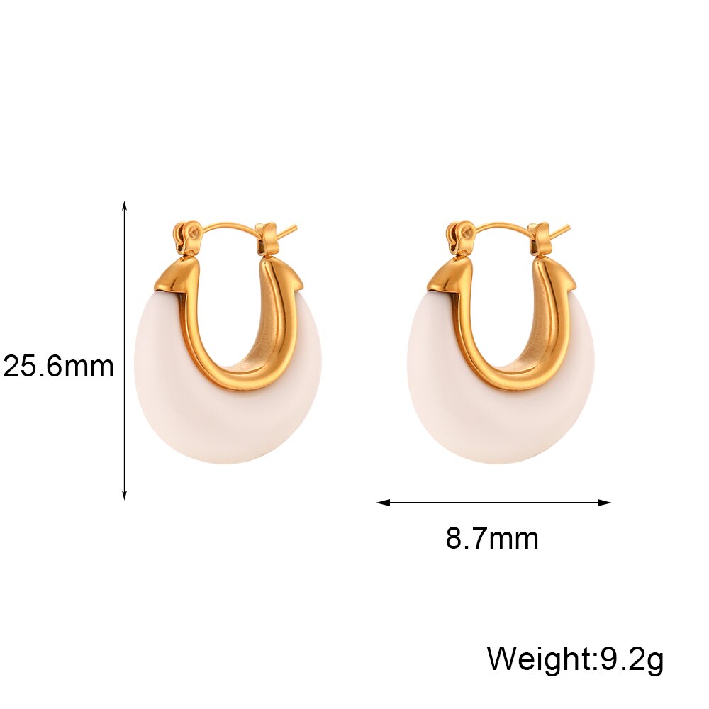 VANITY - Multiple Colors New Year Jewellery Acrylic White Clear Green Burgundy Small Round Fat  Stainless Steel Hoop Earrings For Women