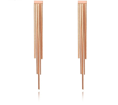 Elegant stainless steel earrings are made in a rose gold colour. These beautiful earrings are made as a stainless steel long tassel which gives them classy look. Earrings are rose gold plated and represent perfect accessory for your evening night out. They have stud fastening.