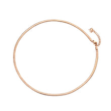 Load image into Gallery viewer, Stainless steel necklace comes in a rose gold, gold and silver colour. It is made of fine thin snake chain. This simple necklace is perfect for daily outfits as well as to light up your night combination. It has adjustable length with lobster clasp. The adjustable chain is adorned with a little pedant in a shape of a heart.
